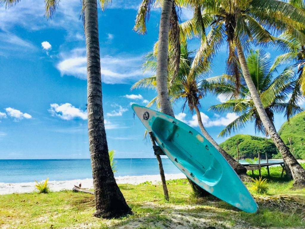 Malakati Village Beach House Naisisili エクステリア 写真
